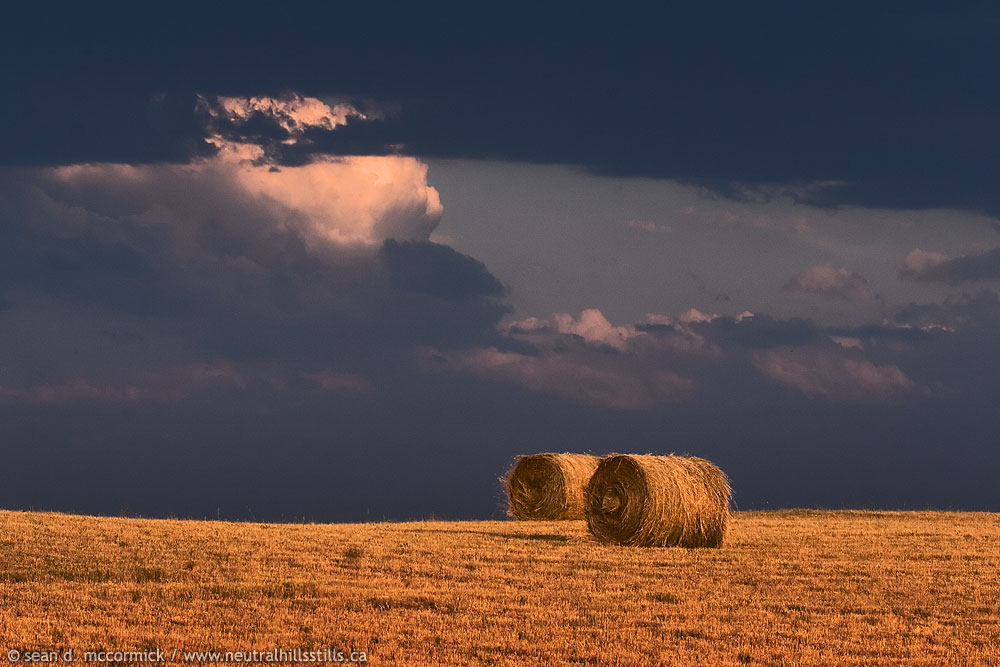 Bales before the storm