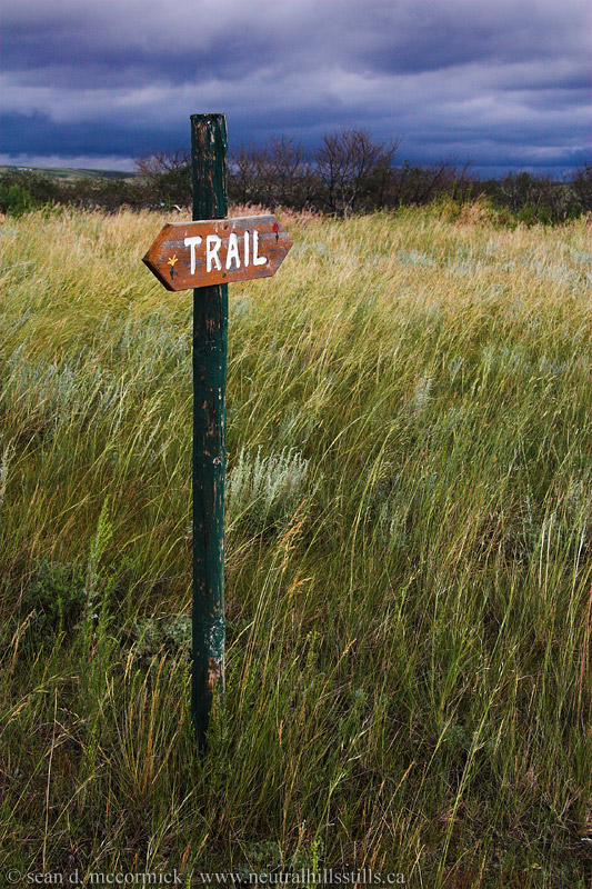 Trail marker, Gooseberry Lake Park