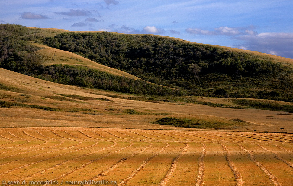 Harvest in the hills