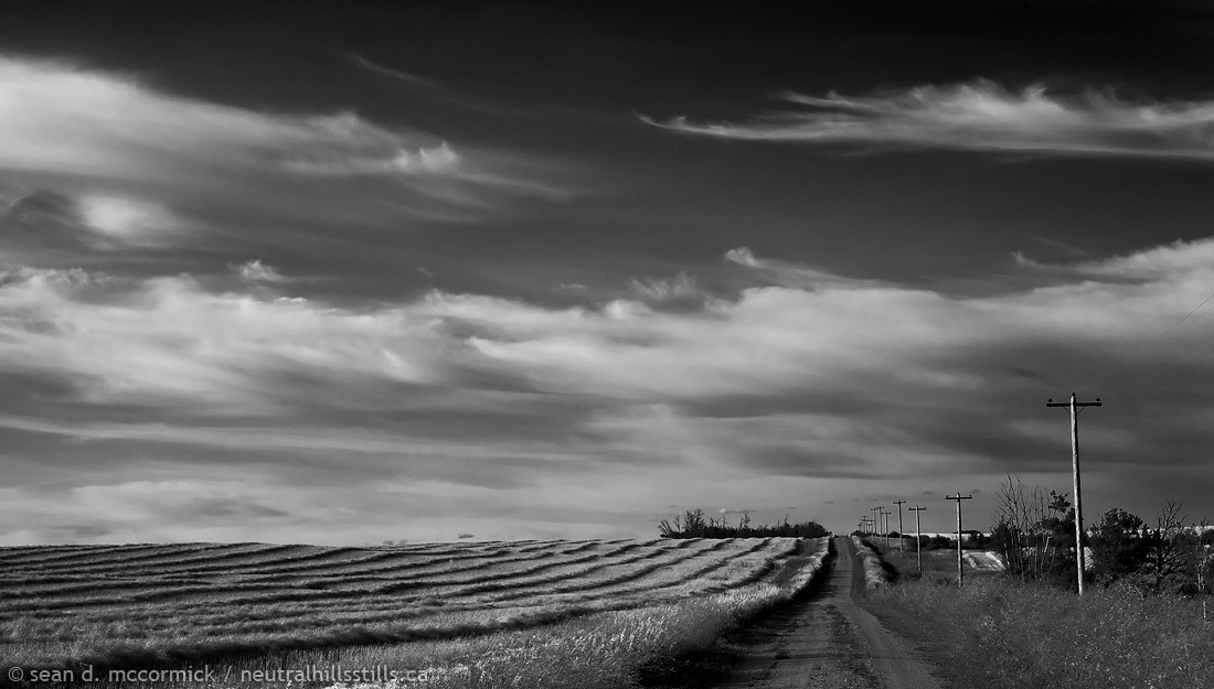 Generic summer landscape