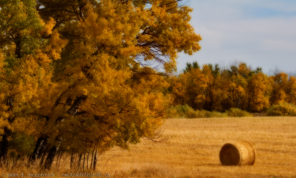 Bale and fall colours