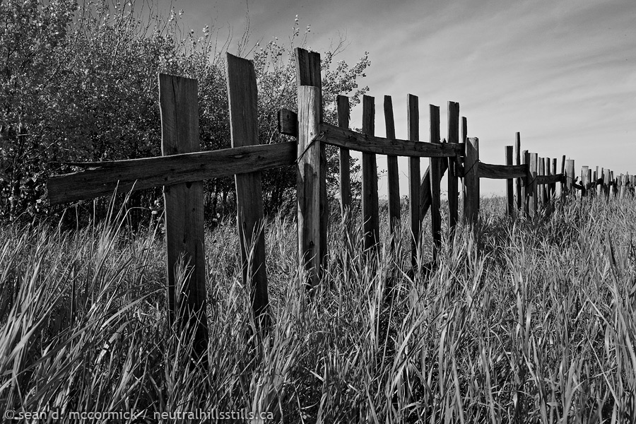 Feeling fenced in
