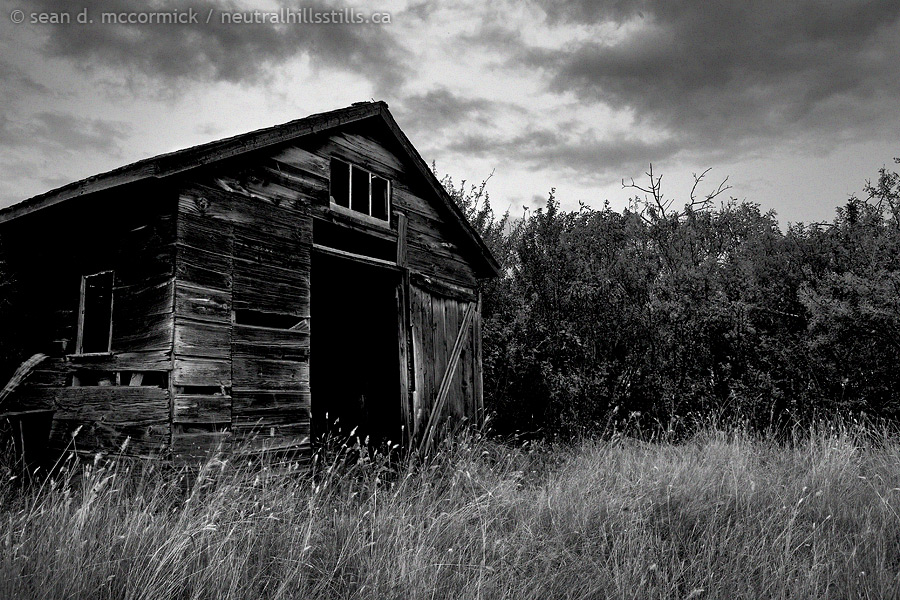Old shed next to windbreak