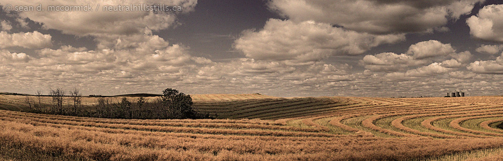 Swaths laid down