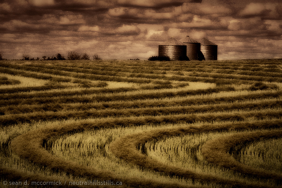 Three bins