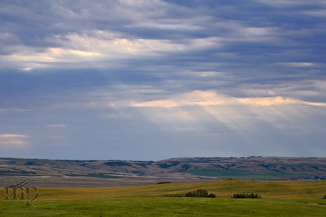 Sun rays over The Neutrals