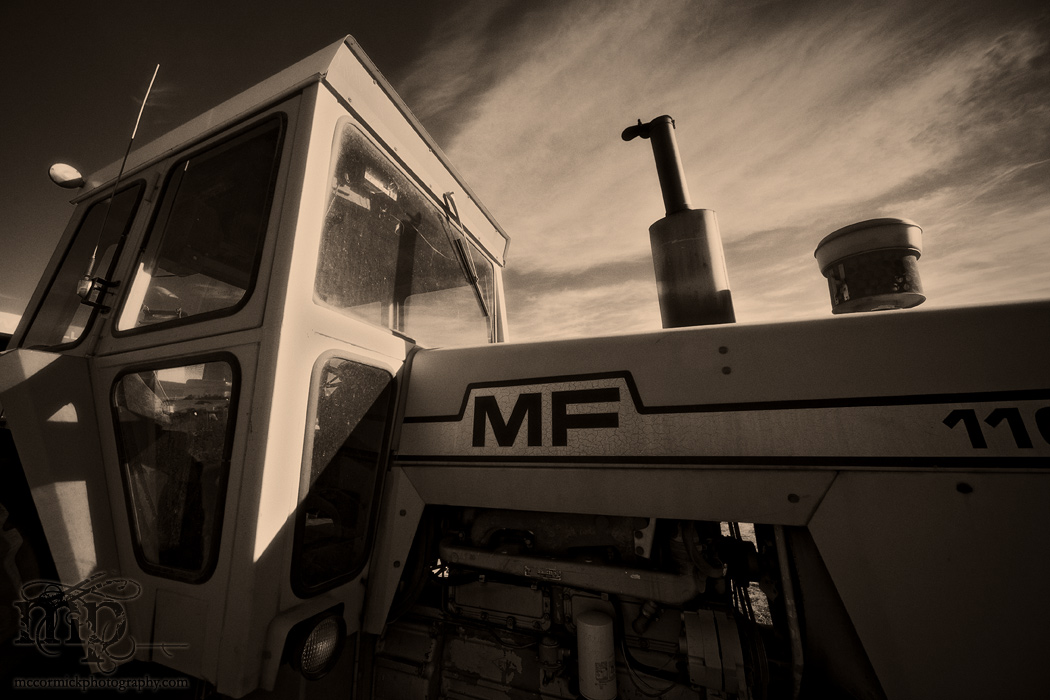 Massey in the morning light