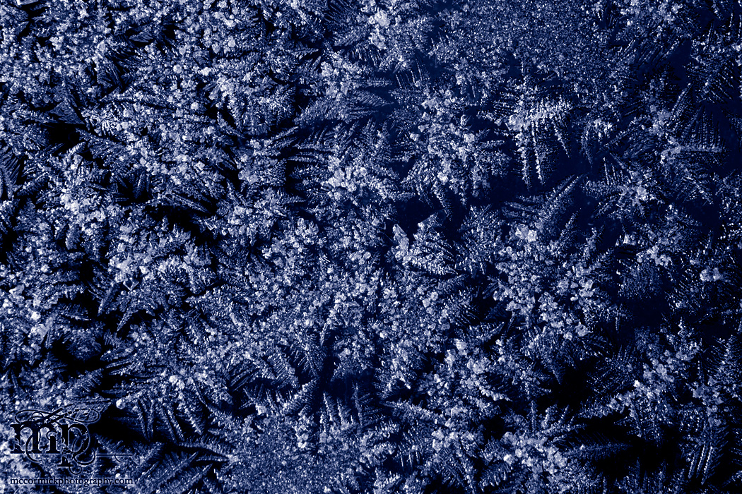 Feeling frosty