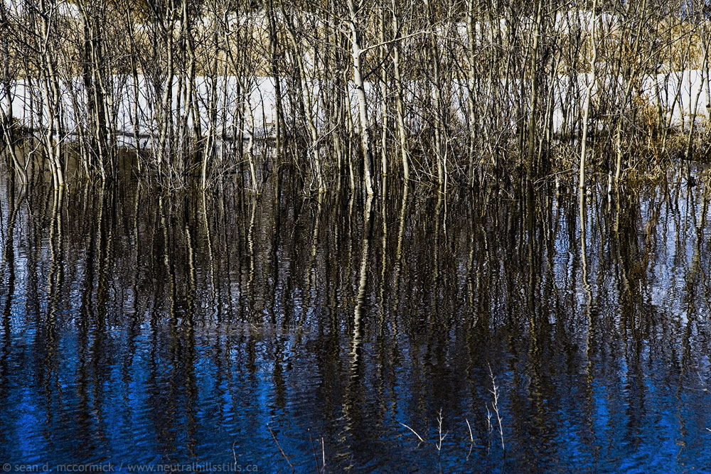 Water on the brain [2 of 3]