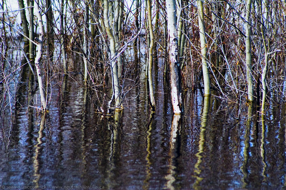 Water on the brain [1 of 3]