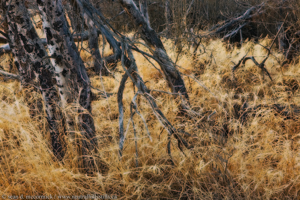 A photograph about nothing