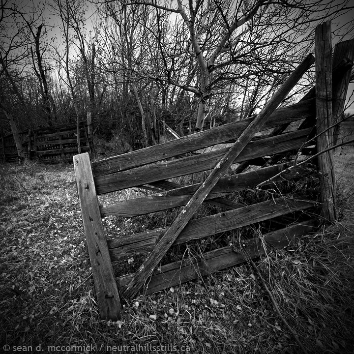 Corral fenceline being reclaimed in monochrome [2 of 2]