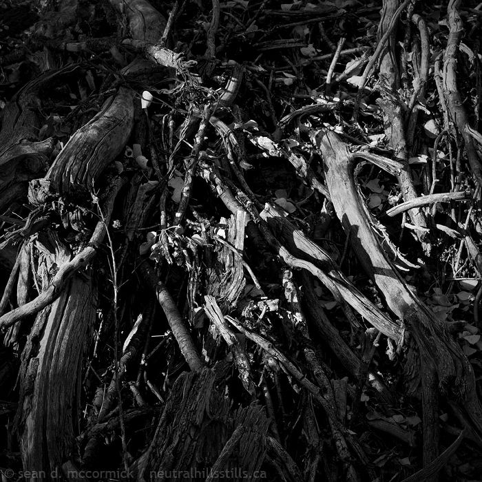 Deadfall
