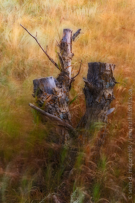 Unmoved