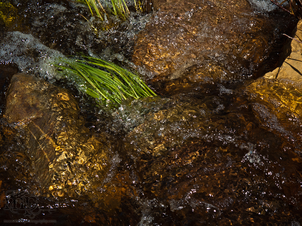 Watson Coulee 2011: Stream crossing roadway [2 of 2]