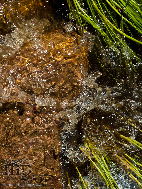 Watson Coulee 2011: Stream crossing roadway [1 of 2]