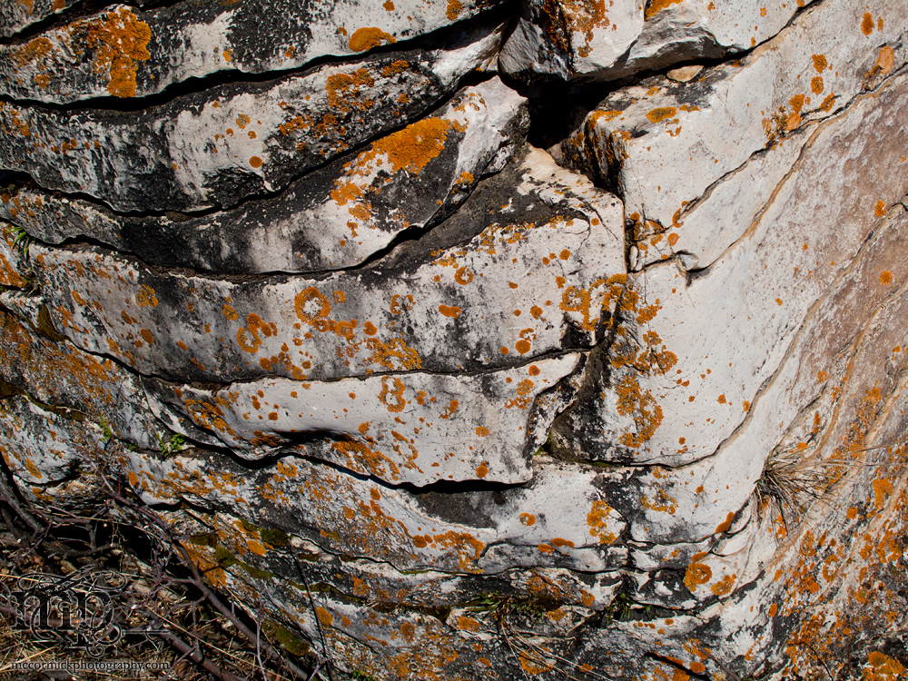 Watson Coulee 2011: Buffalo rubbing rock [7 of 8]