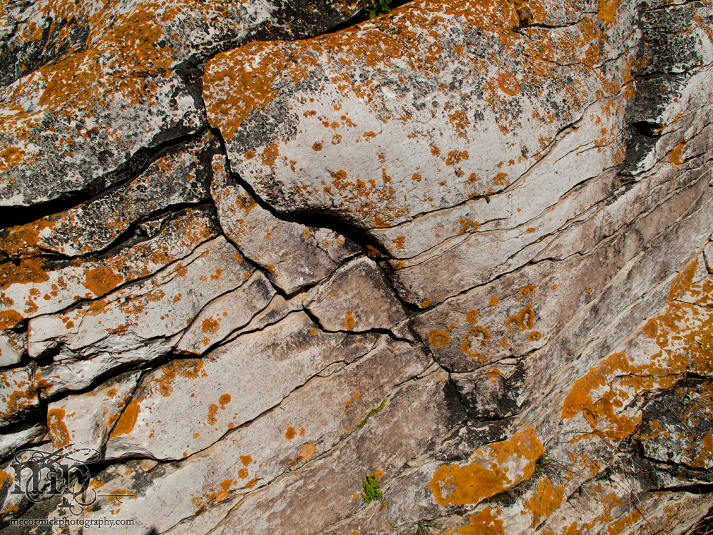 Watson Coulee 2011: Buffalo rubbing rock [6 of 8]