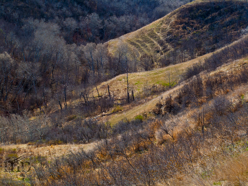 Watson Coulee 2011: Spring is finally here
