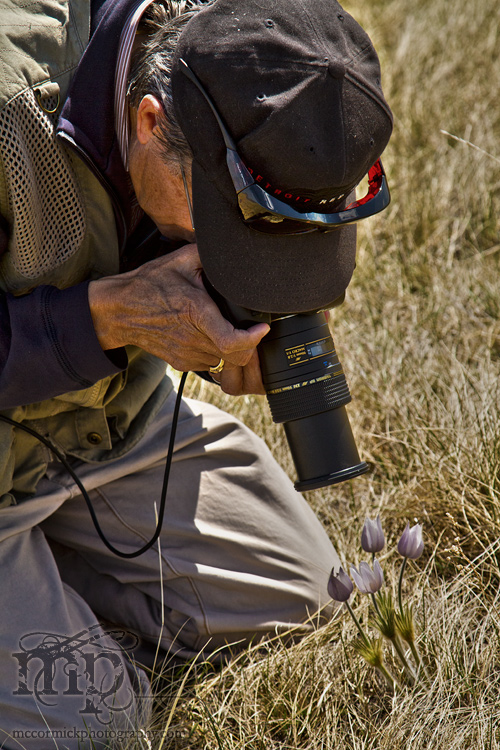 Monitor Mud Buttes, May 10, 2011: "Don't move or I'll shoot!"