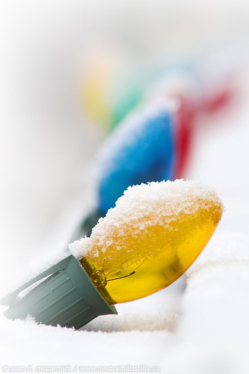 Christmas lights, New Year's Day 2006
