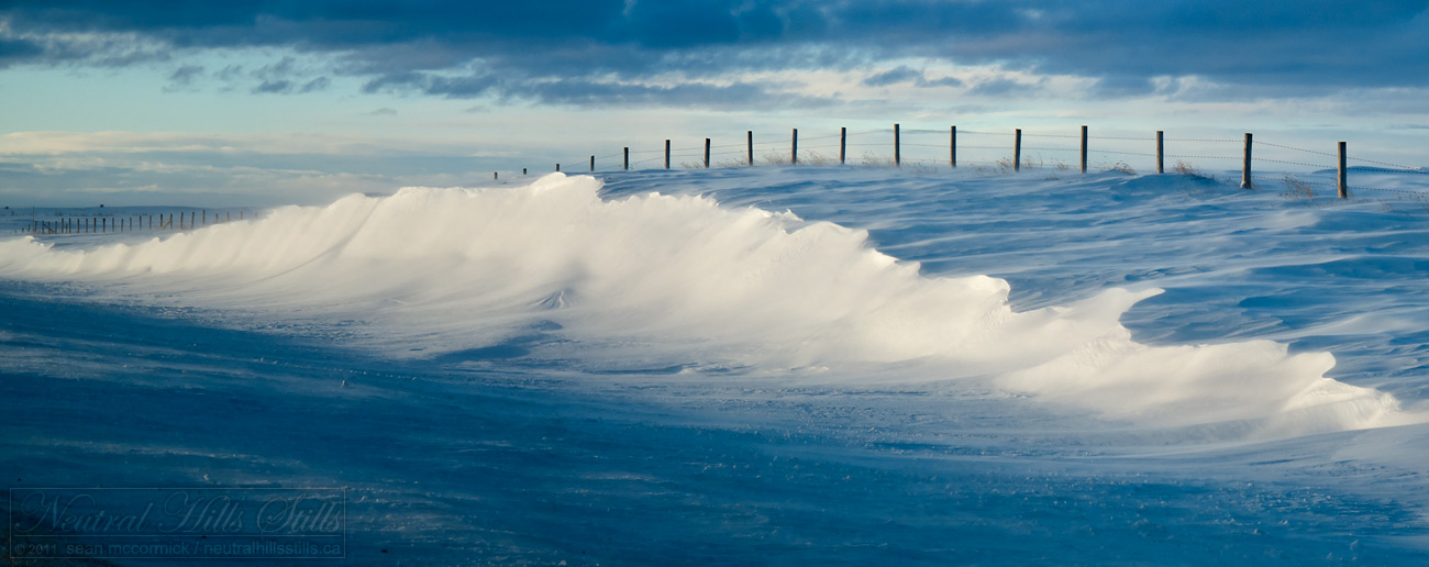 Jan 19, 2011: Surf's up