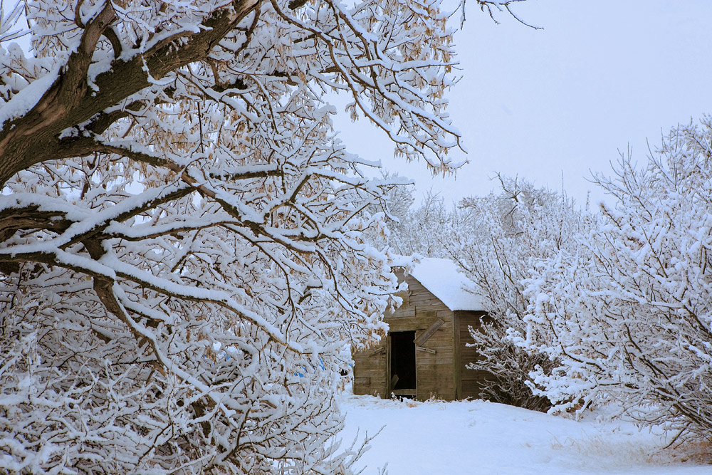 Apr 02, 2009: After the snowfall