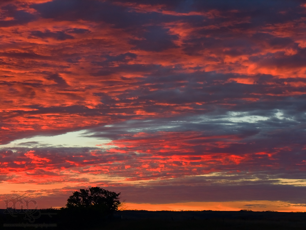 July 16, 2006: Sunrise