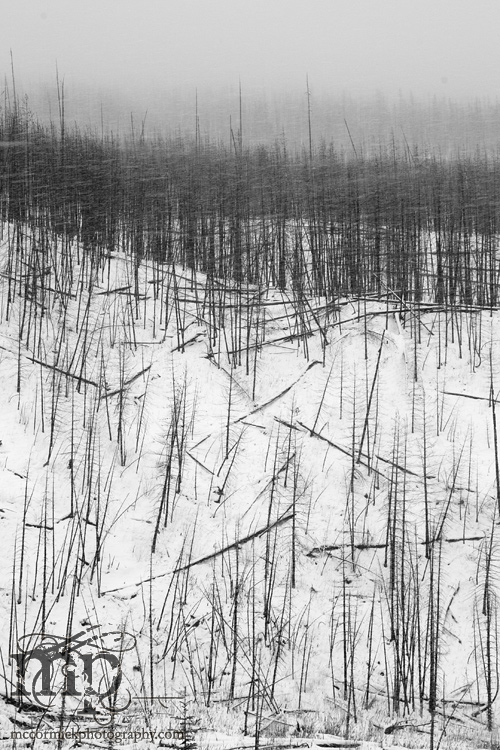 Radium: Frozen fire wasteland [2 of 2]