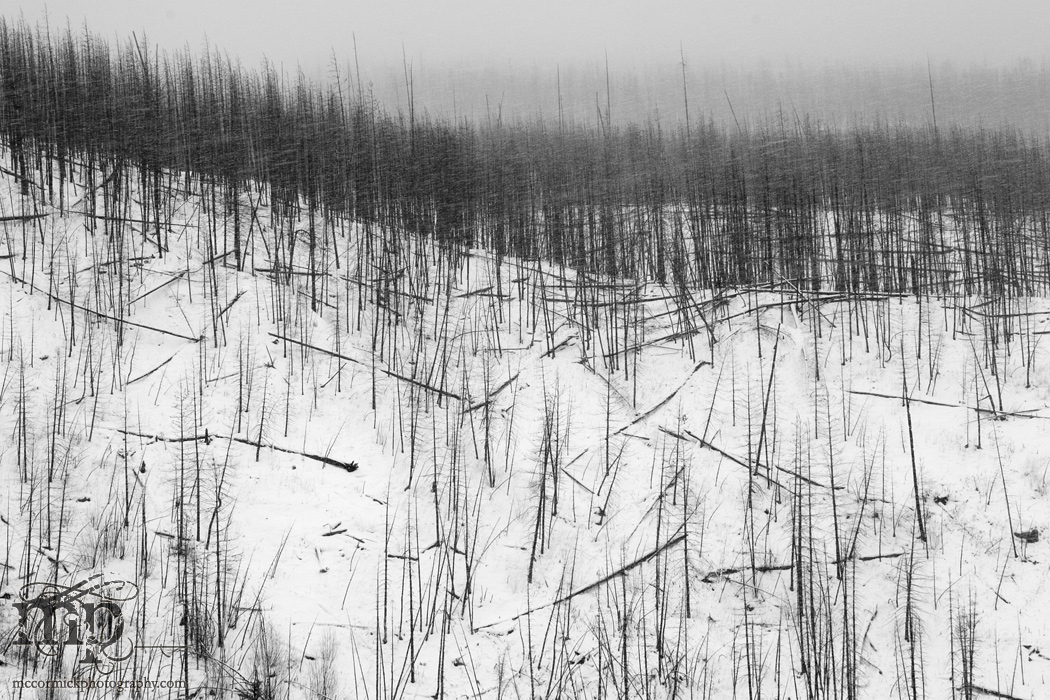Radium: Frozen fire wasteland [1 of 2]