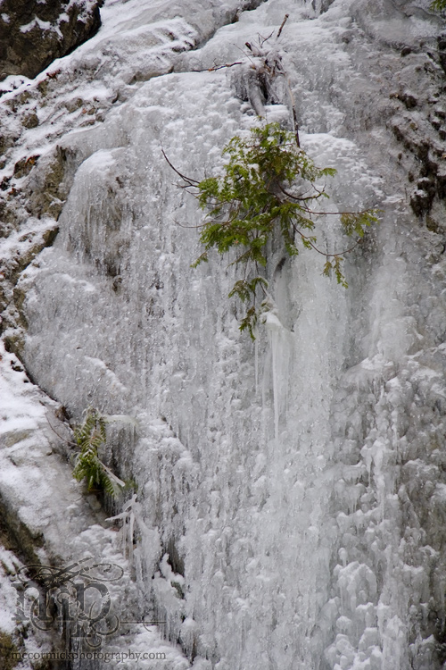 Radium: Ice beard [3 of 3]