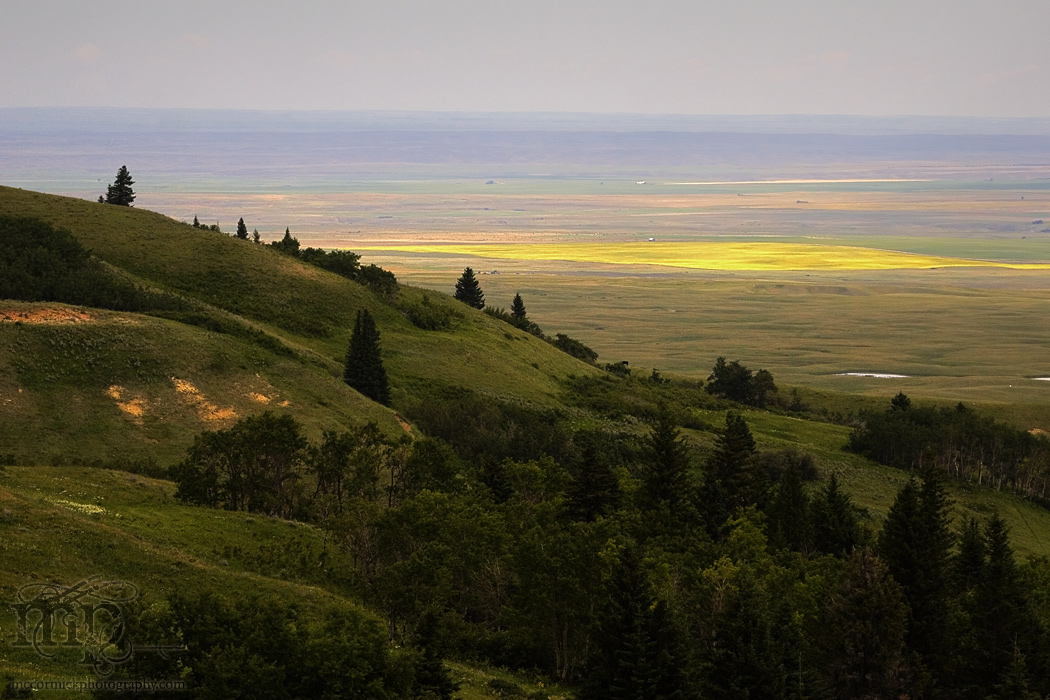 Cypress Hills 2007: The view