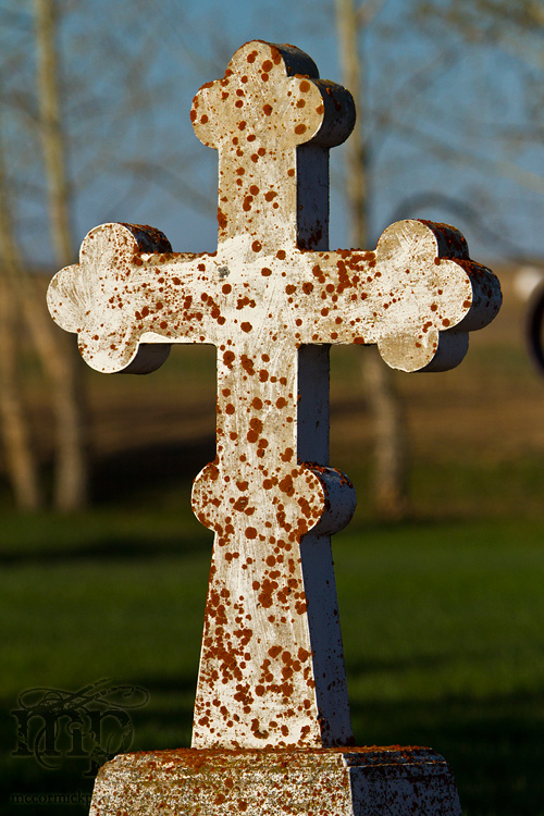 Senkiw Geocache Visit, 2011-05-12: Cross my heart and hope to die