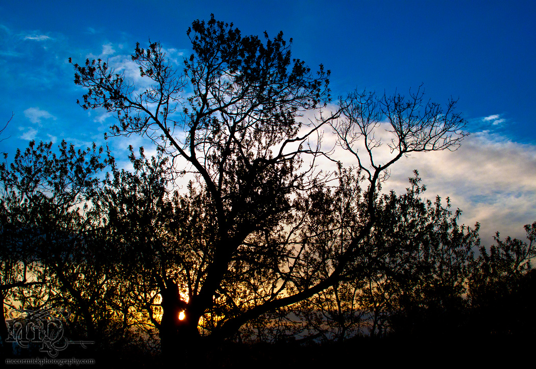 Sunrise, May 17, 2011