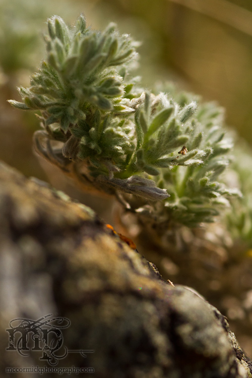 May 21 - After the shoot: Rock cruft [2 of 3]