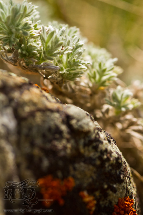 May 21 - After the shoot: Rock cruft [1 of 3]