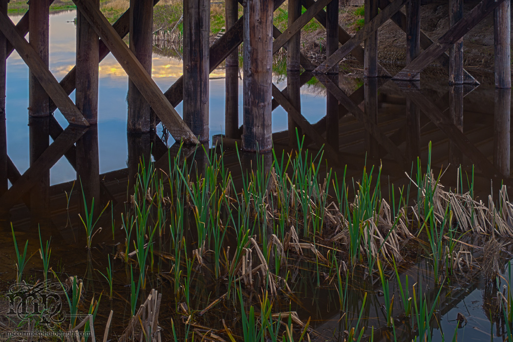 Under the trestle