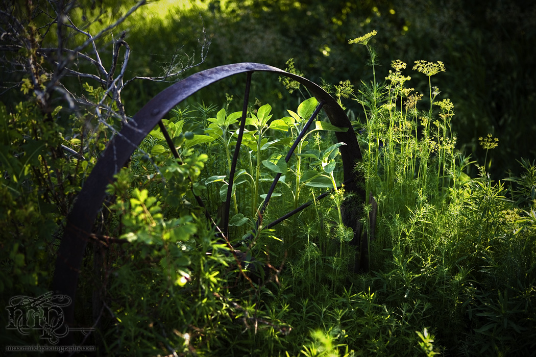 Garden wheel in flower garden