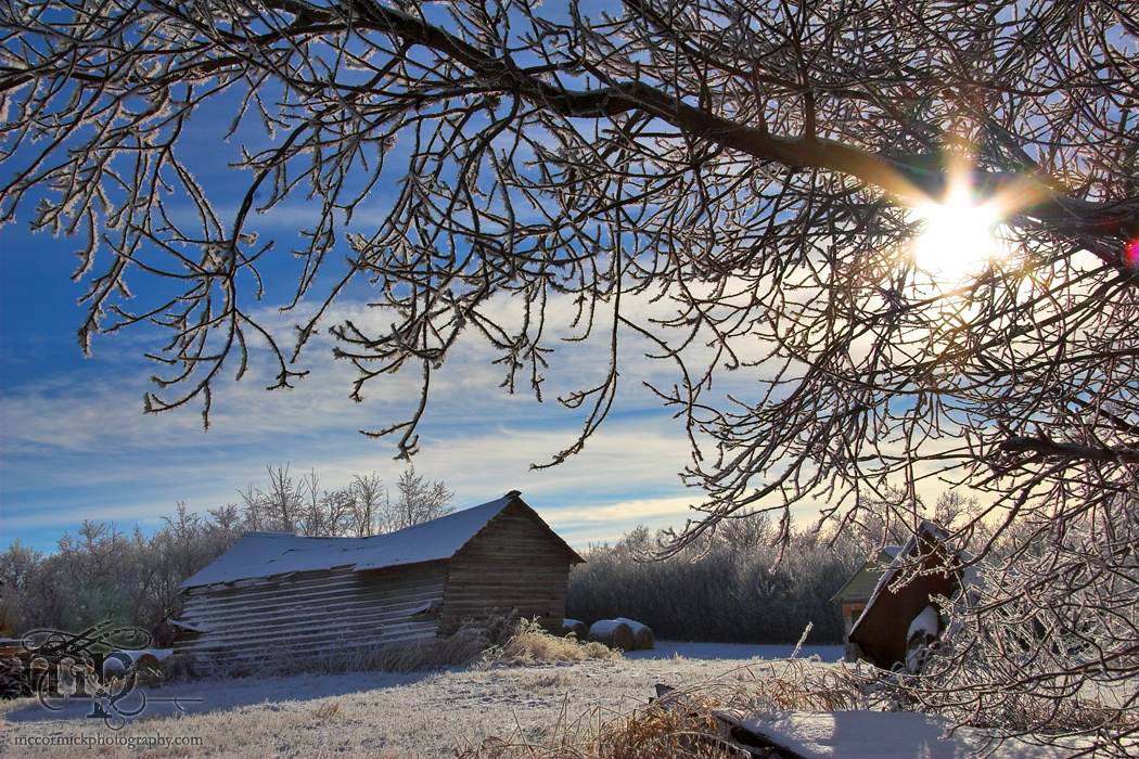 Jan 02, 2006: Chicken coop in the afternoon sun