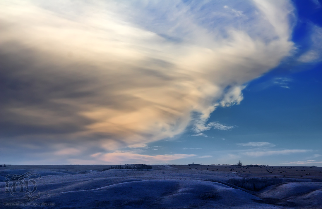 Dusk, Jan 03, 2006