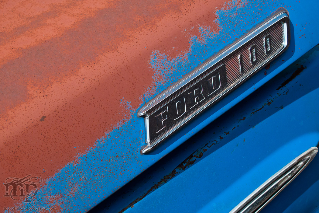 Ford 100