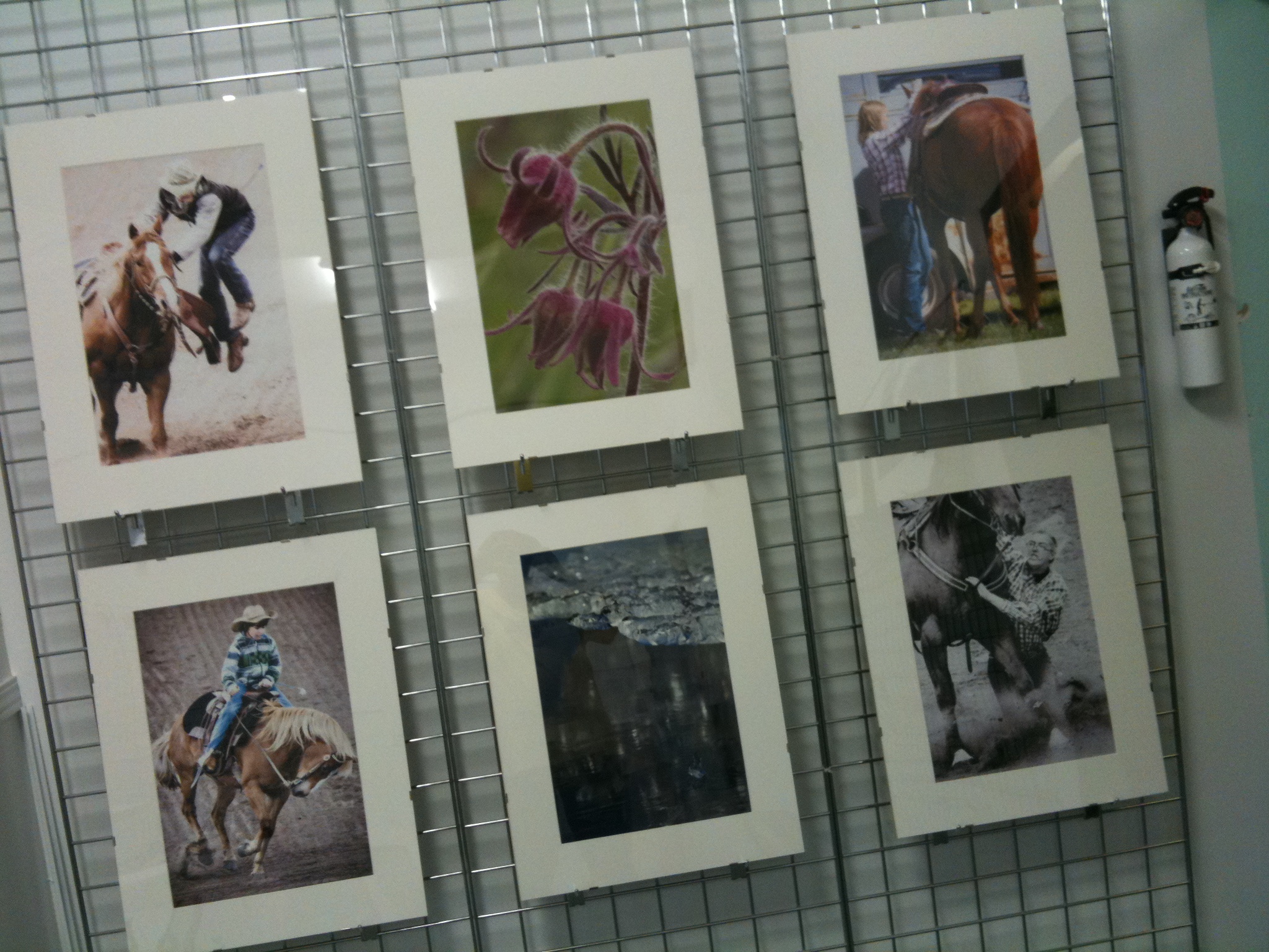 Albertascapes: Display Wall 1