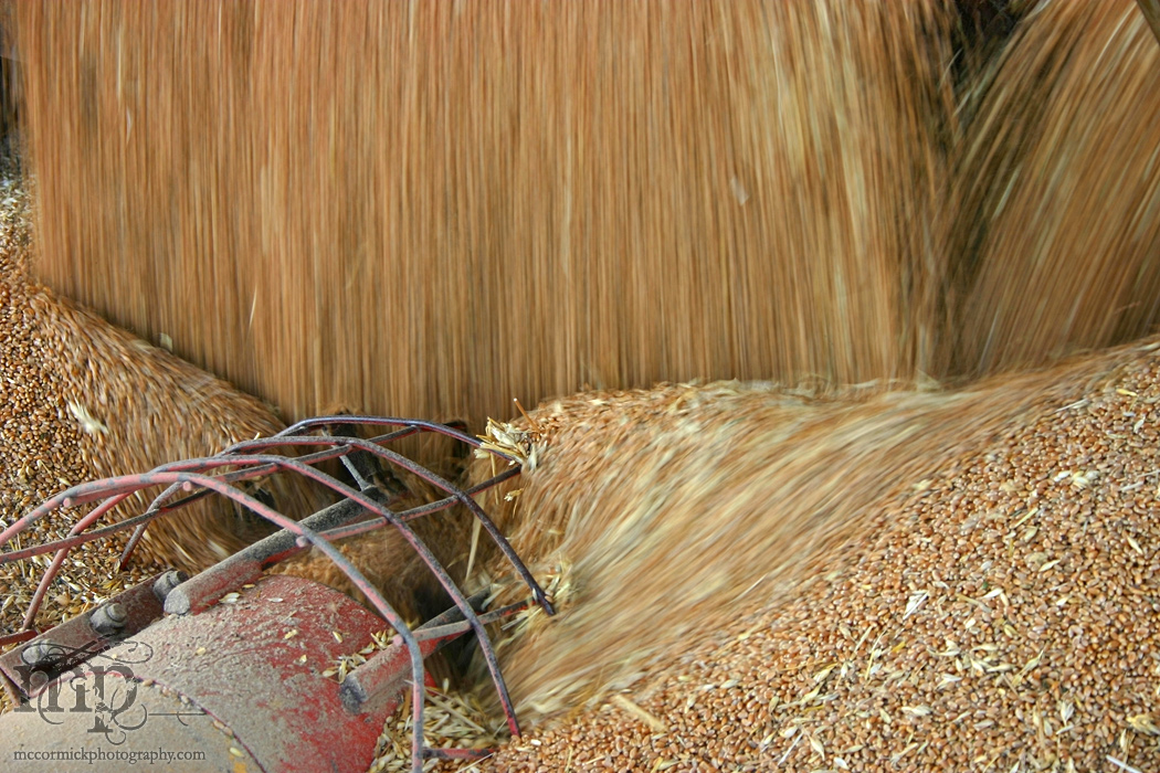 Augering grain [2 of 2]