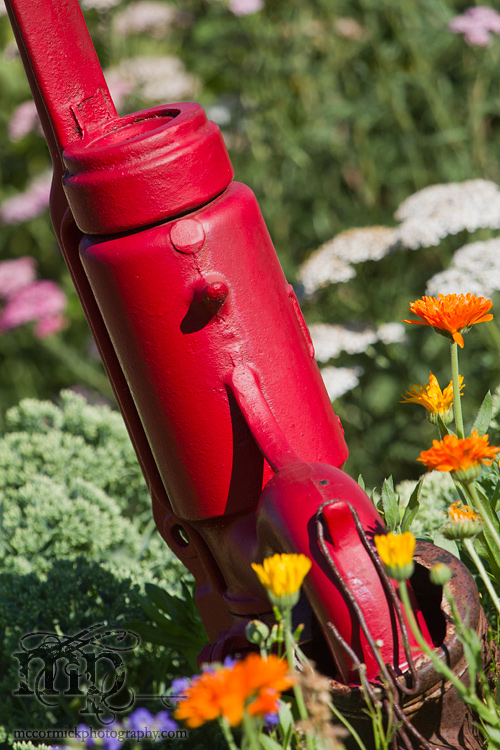 Acadia Valley B&B: Hand pump in garden [2 of 2]