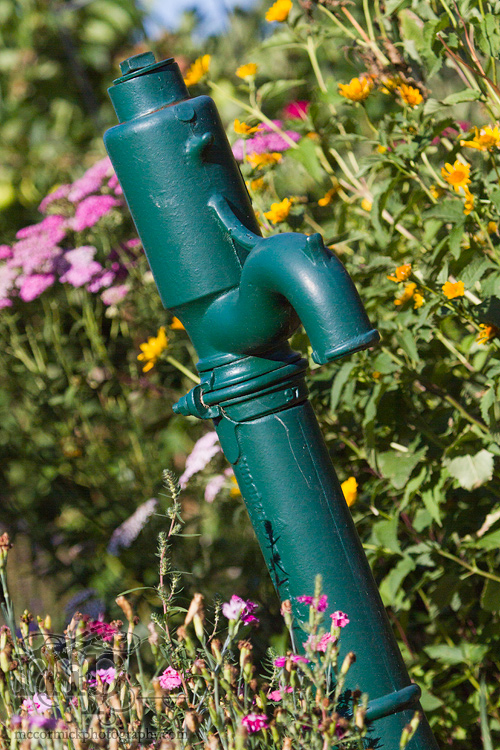 Acadia Valley B&B: Hand pump in garden [1 of 2]