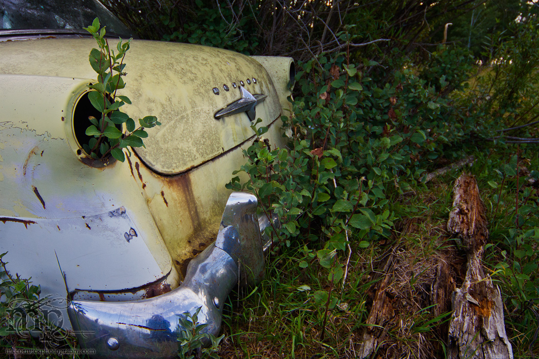 1950s Ford Meteor Customline: Getting back to nature [1 of 2]
