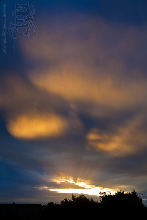 Sunrise, Aug 27, 2011: The view over Casa McCormick