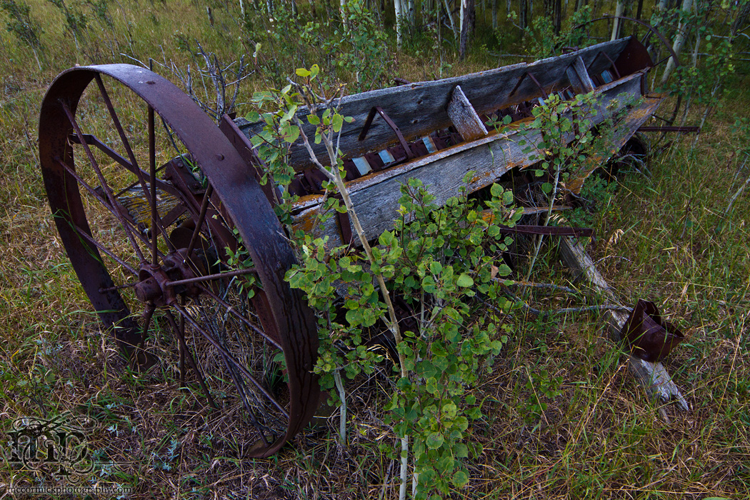 Horse drawn seed drill