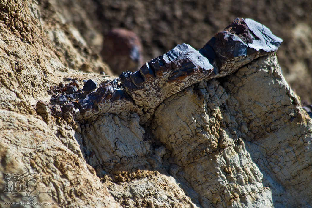 Monitor Mud Buttes 2011: Exposed coal [2 of 6]