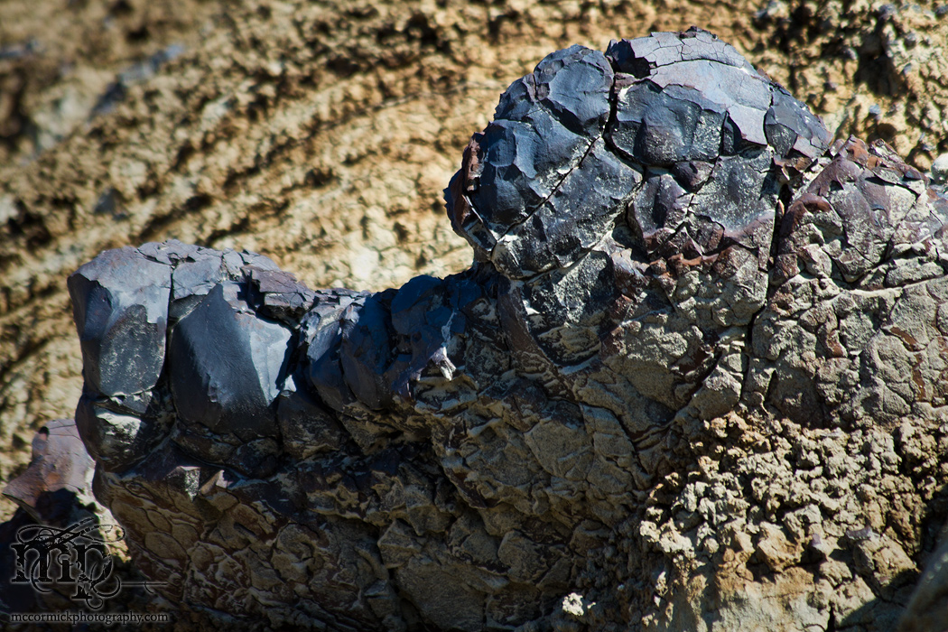 Monitor Mud Buttes 2011: Exposed coal [1 of 6]